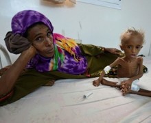 Yemen crisis